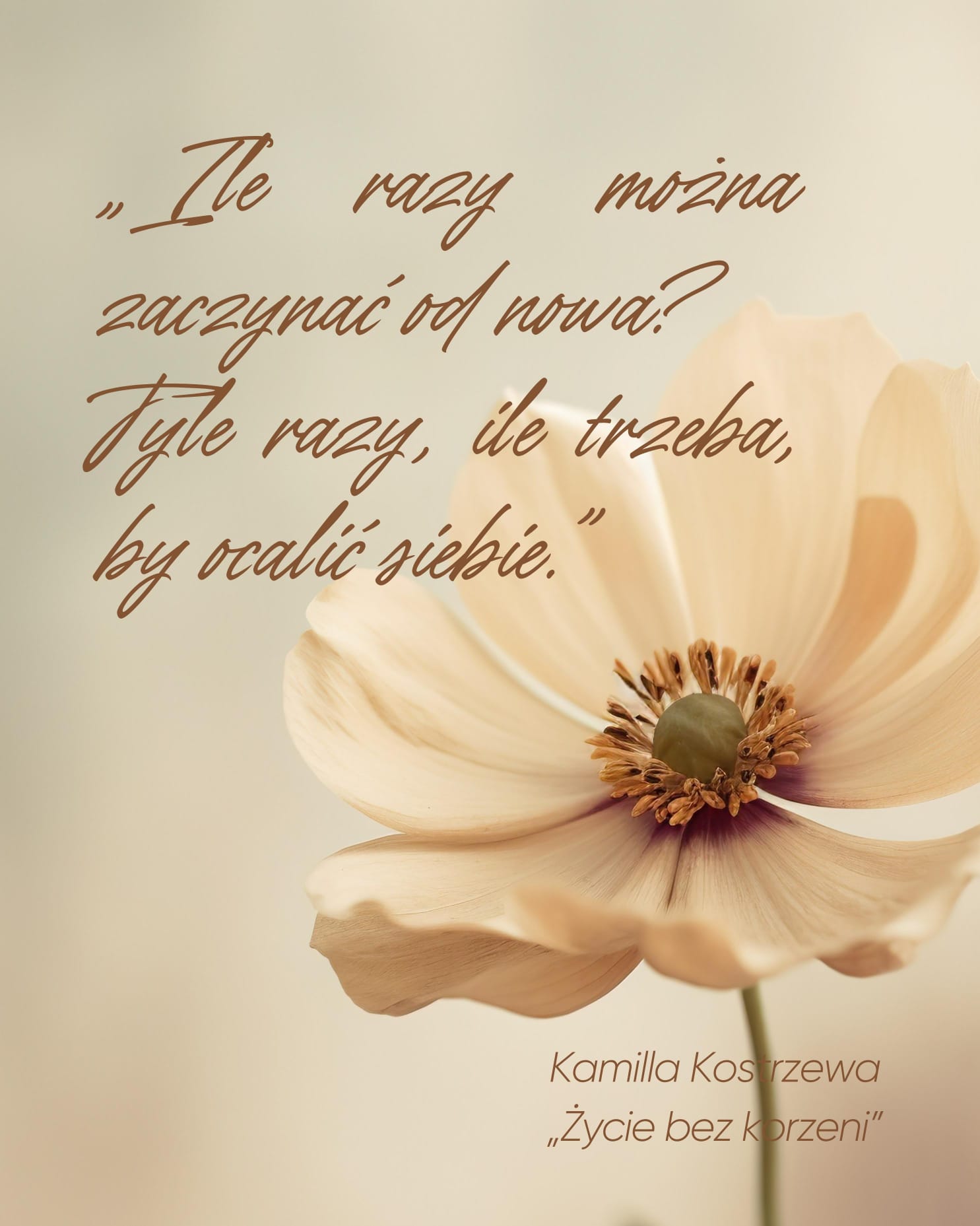afirmacje kamilla kostrzewa