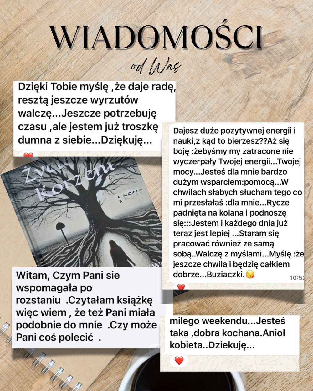 kamilla kostrzewa opinia 10